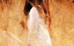 免费可以看污动画软件